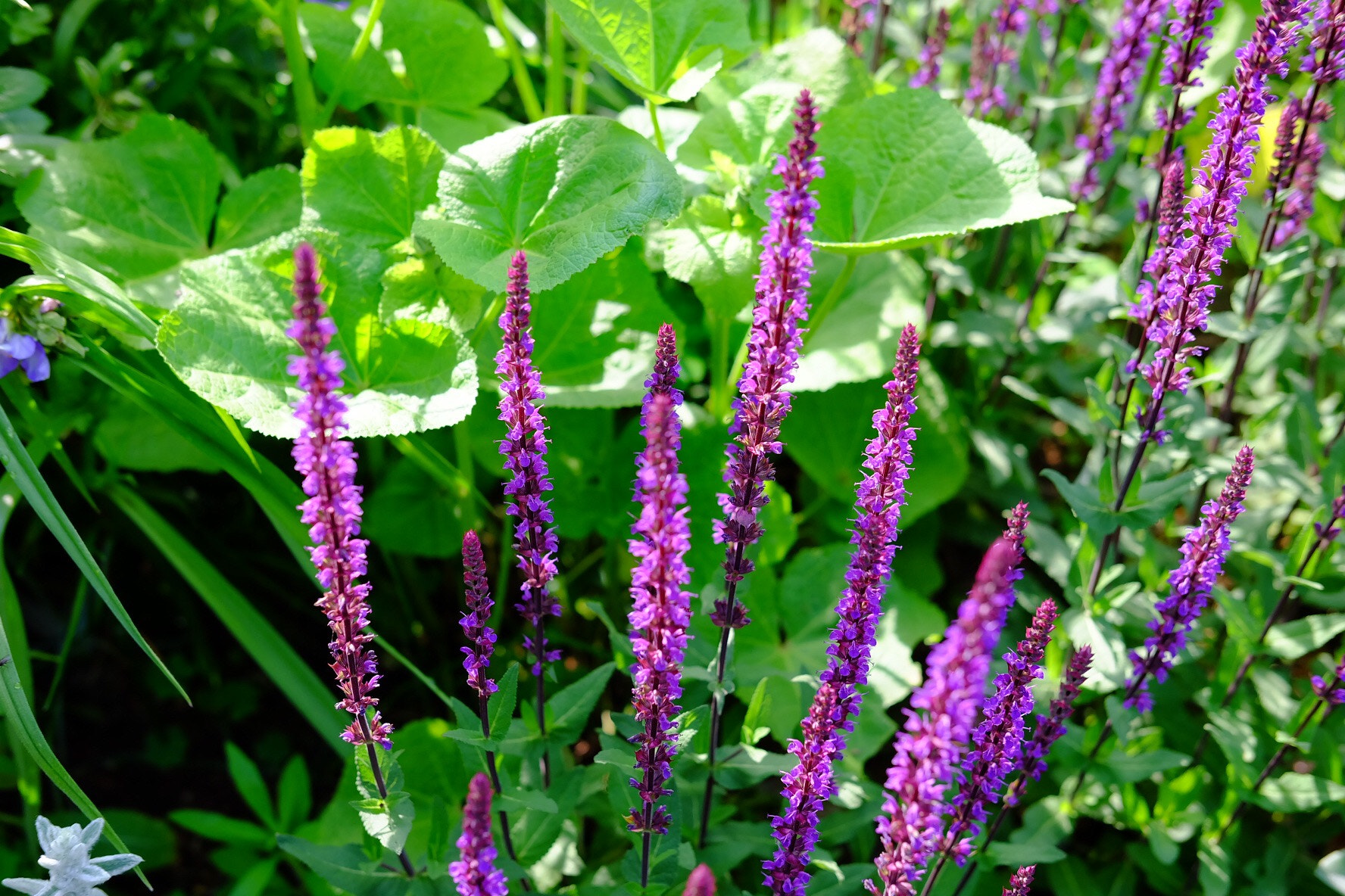 Fujifilm X-A1 sample photo