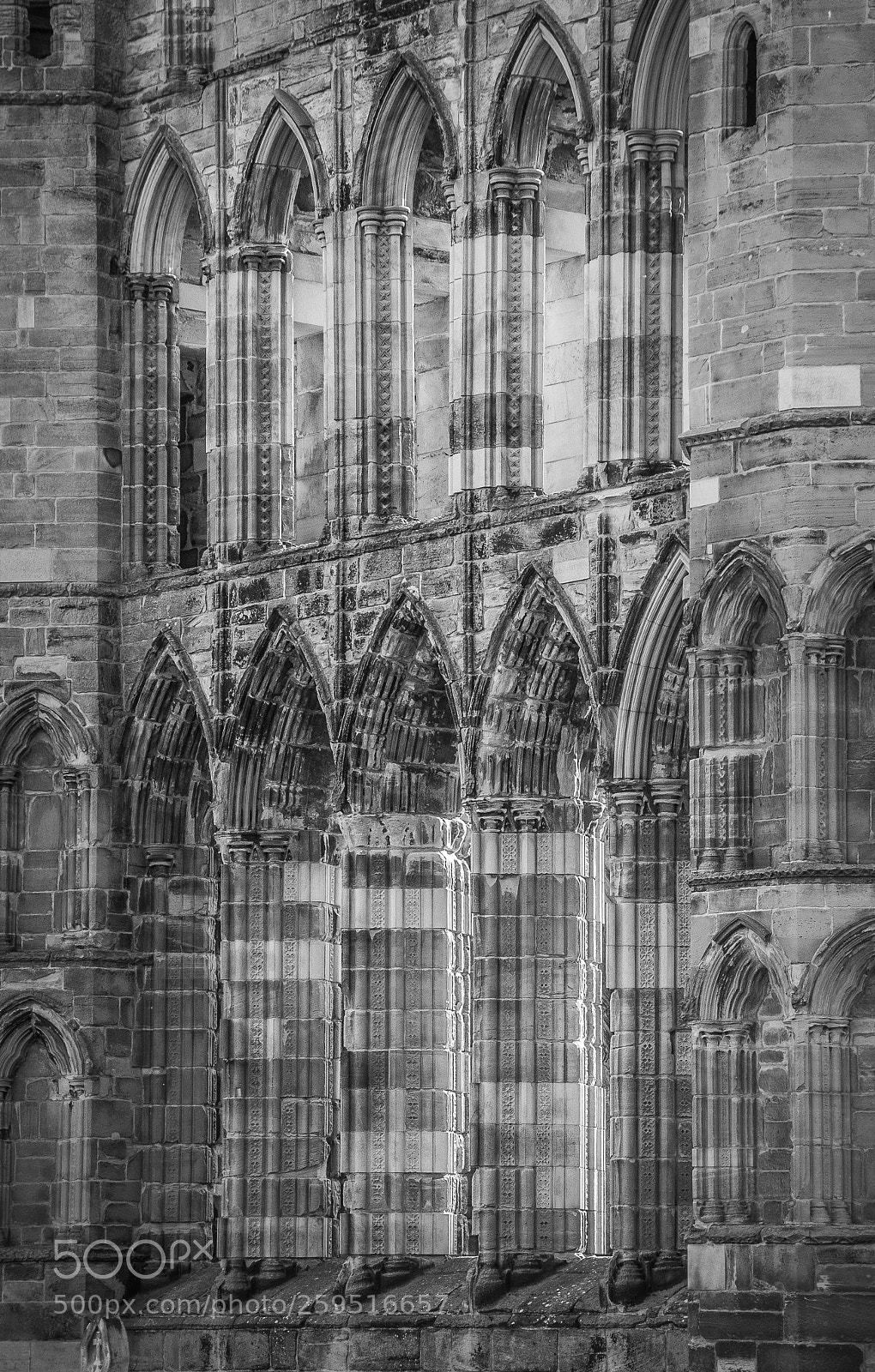 Nikon D60 sample photo. Abbey photography