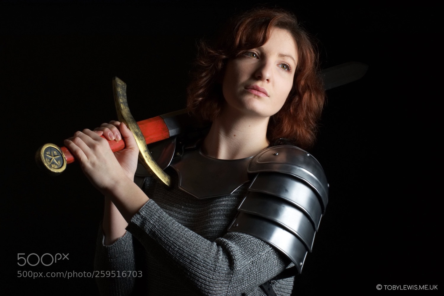 Nikon D5300 sample photo. Joan of arc before photography