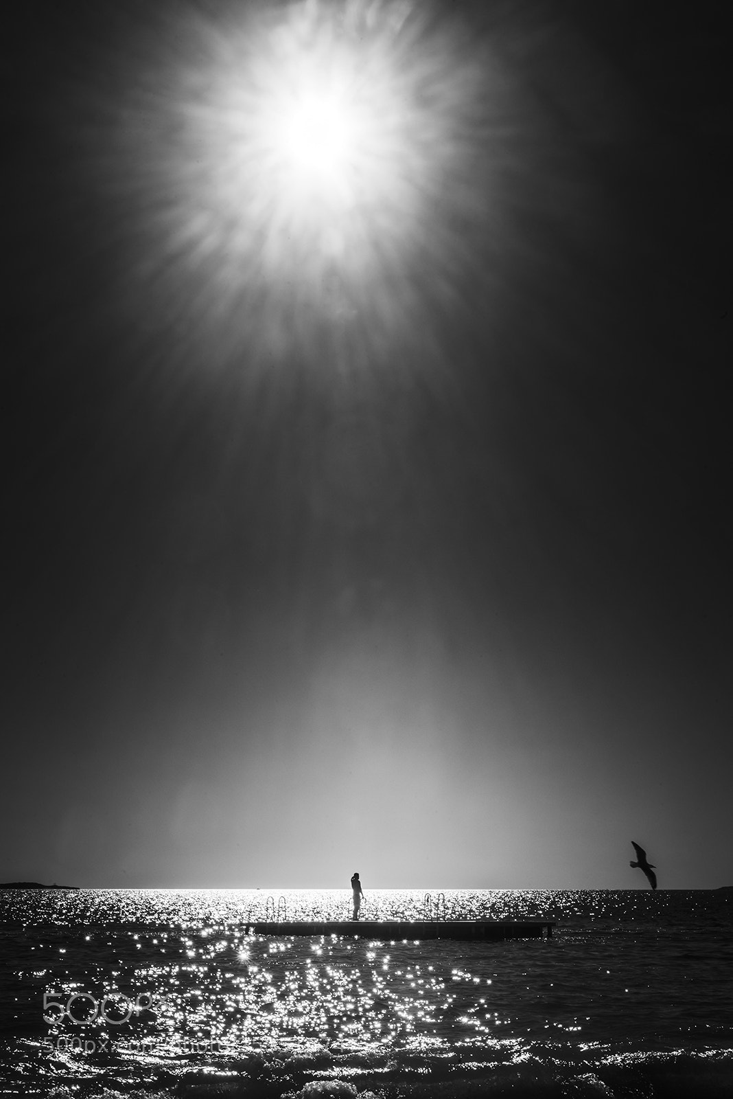 Nikon D810 sample photo. Under sunlight photography