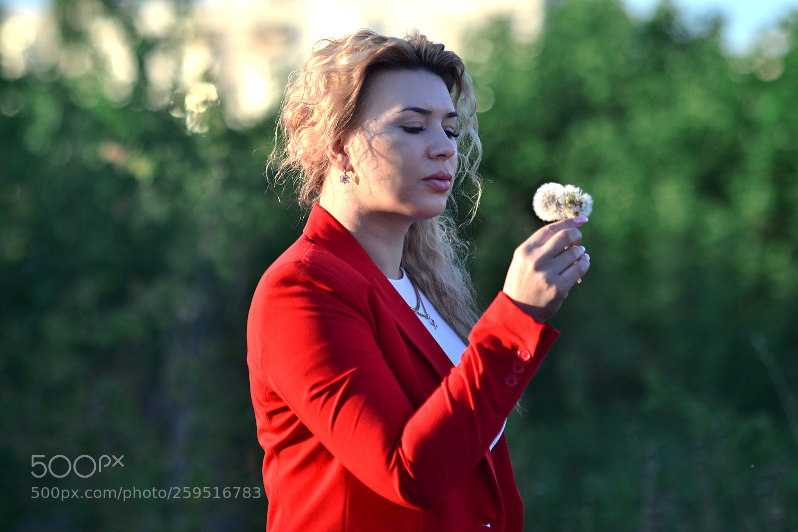 Nikon D3100 sample photo. In red photography