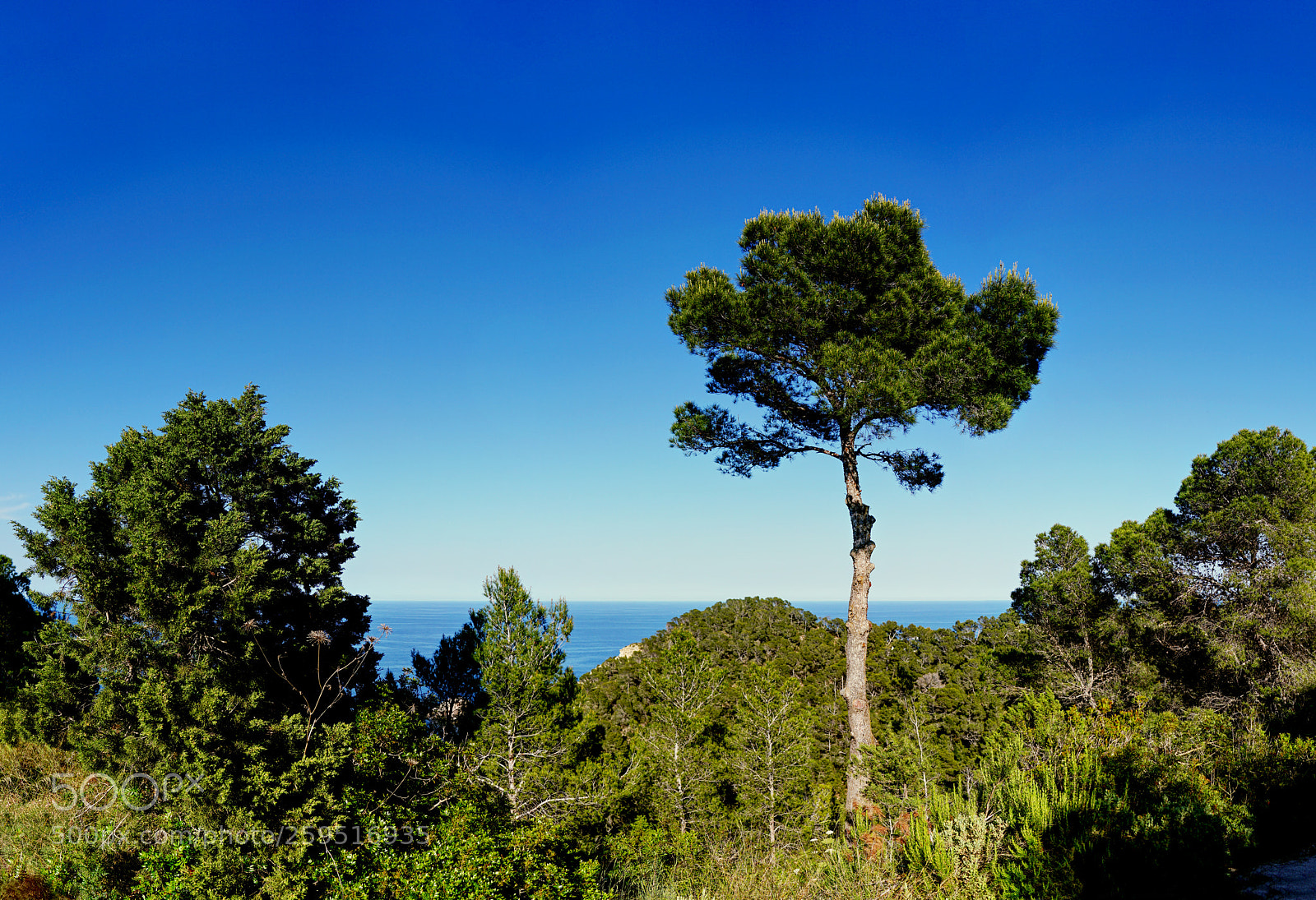 Sony a7 II sample photo. Pleasing view ibiza photography