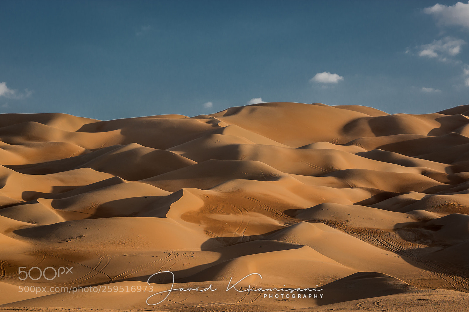 Nikon D7100 sample photo. Natures art photography