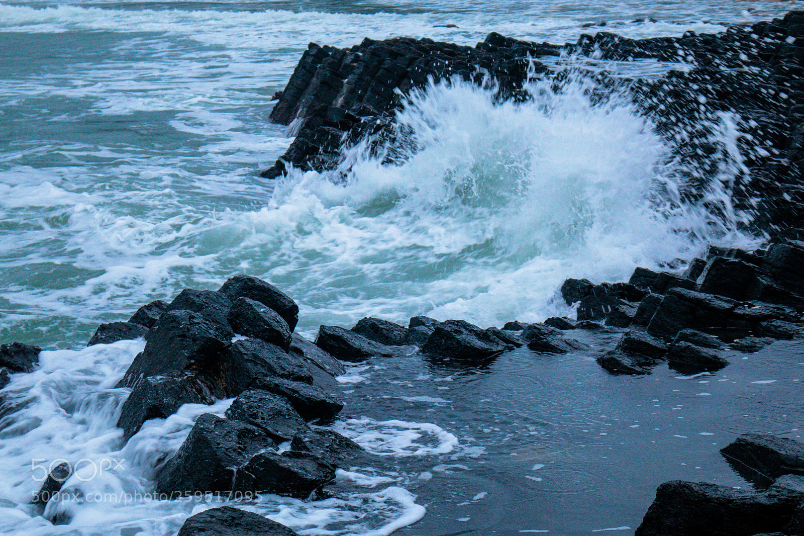 Canon EOS 70D sample photo. Untitled photography