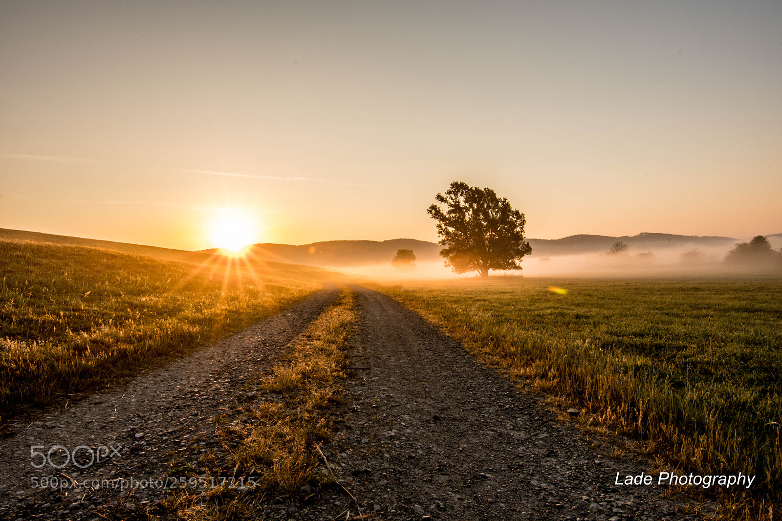 Nikon D500 sample photo. Misty morning photography