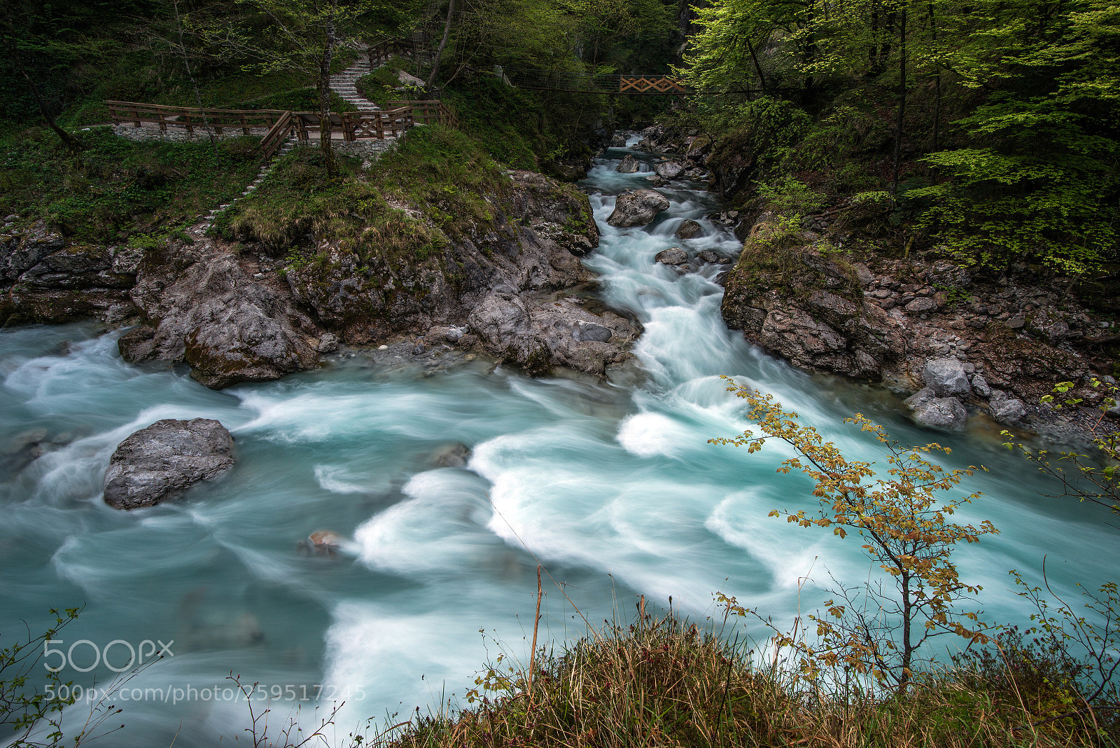 Nikon D800 sample photo. Tolminka gorge photography