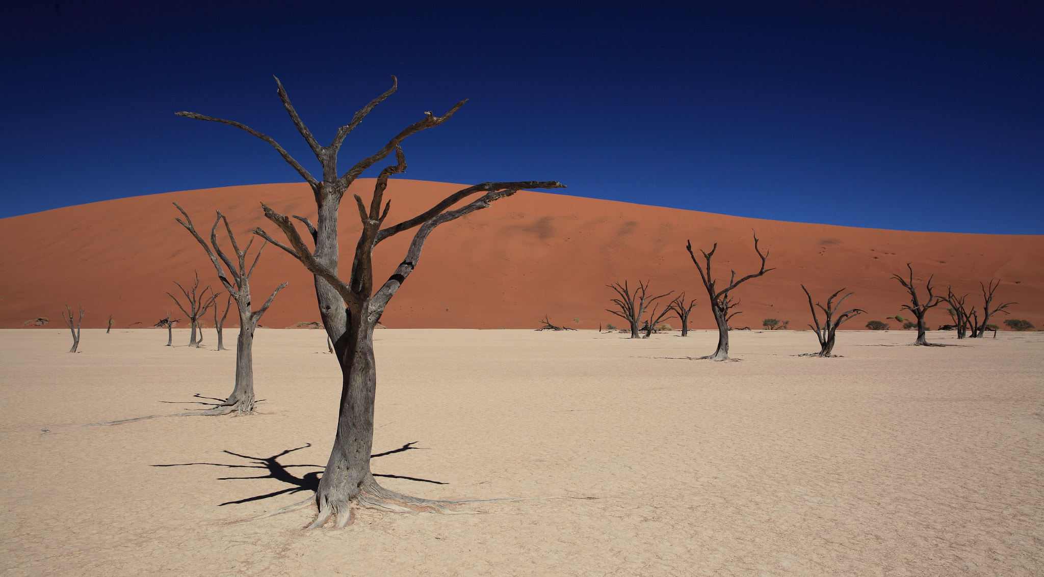 Canon EF 24-70mm F2.8L II USM sample photo. Sossusvlei photography