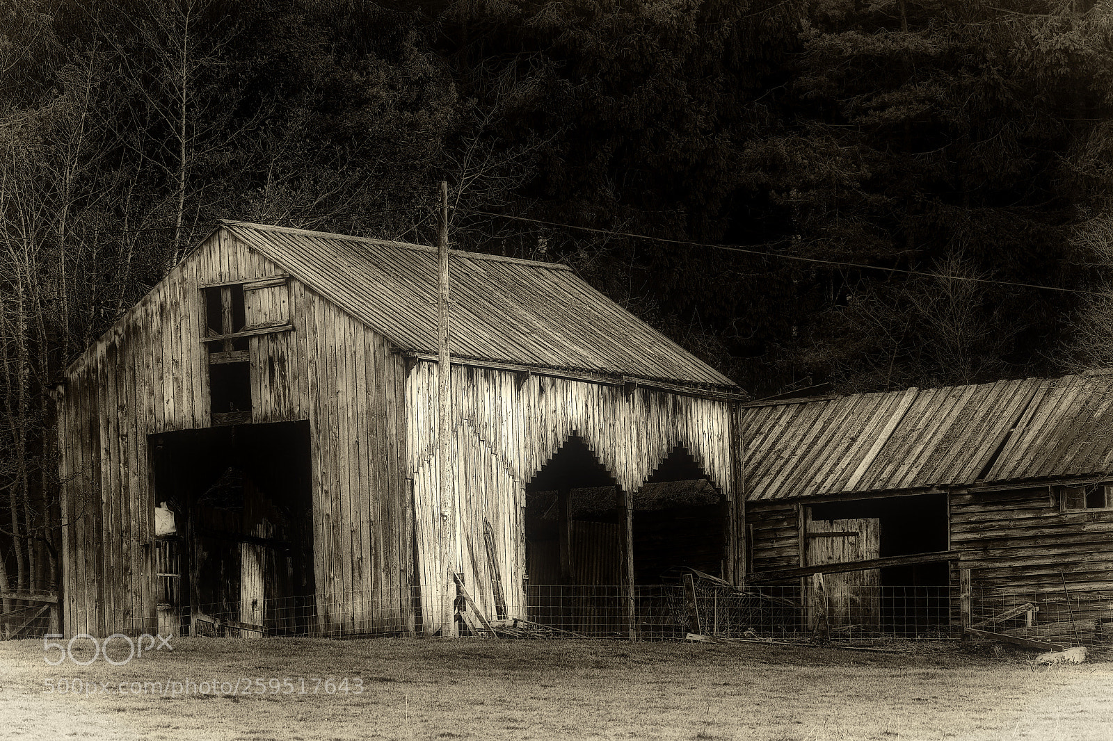 Nikon D500 sample photo. The old woodshed photography