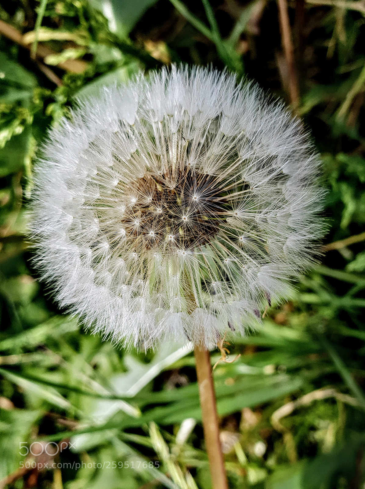 Samsung Galaxy S9+ sample photo. Untitled photography