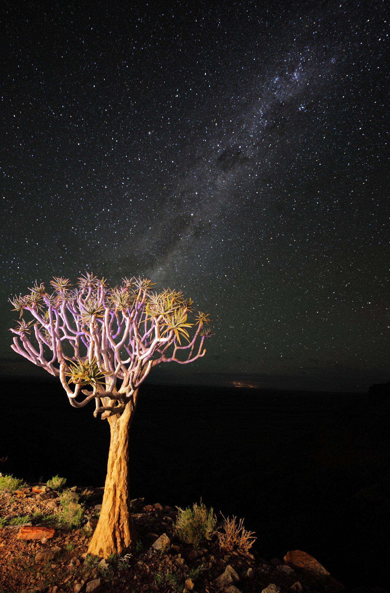 Canon EF 85mm F1.8 USM sample photo. Milky way on fish river canyon photography
