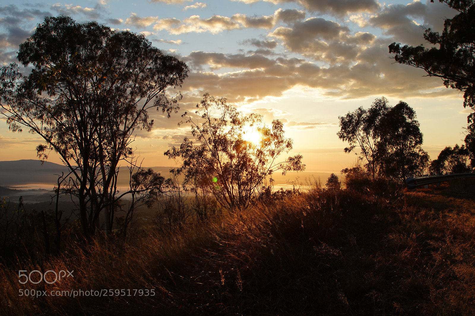 Sony a6300 sample photo. Toowomba photography