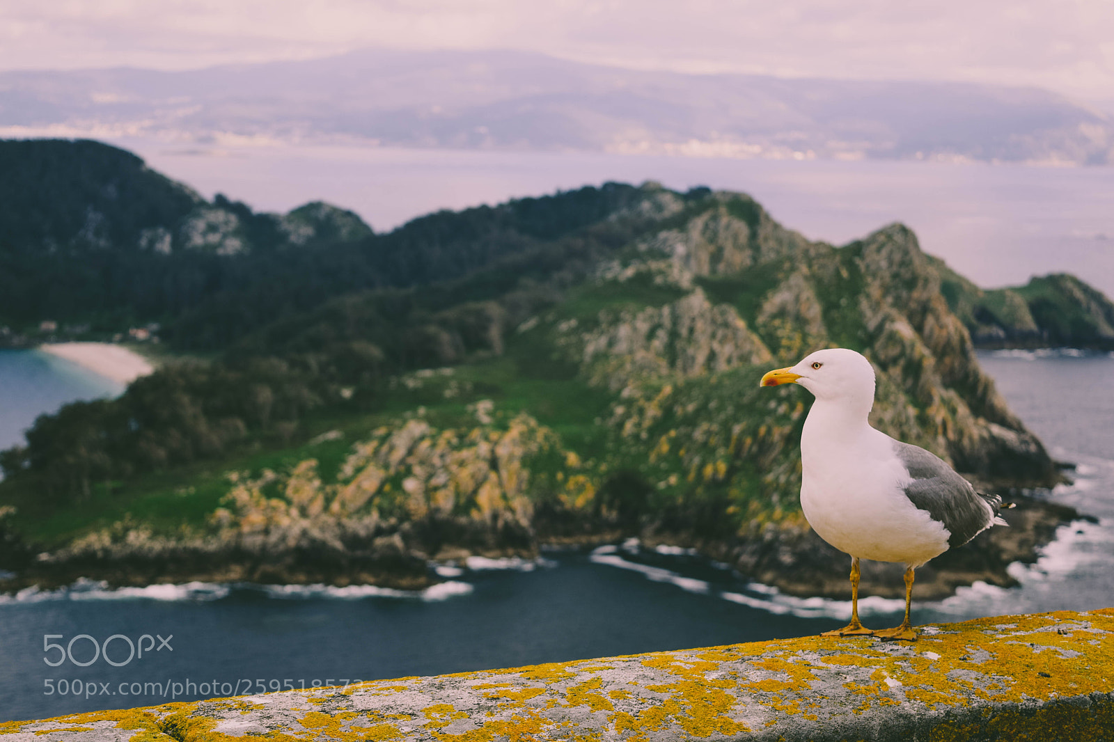 Nikon D5300 sample photo. Cies islands photography