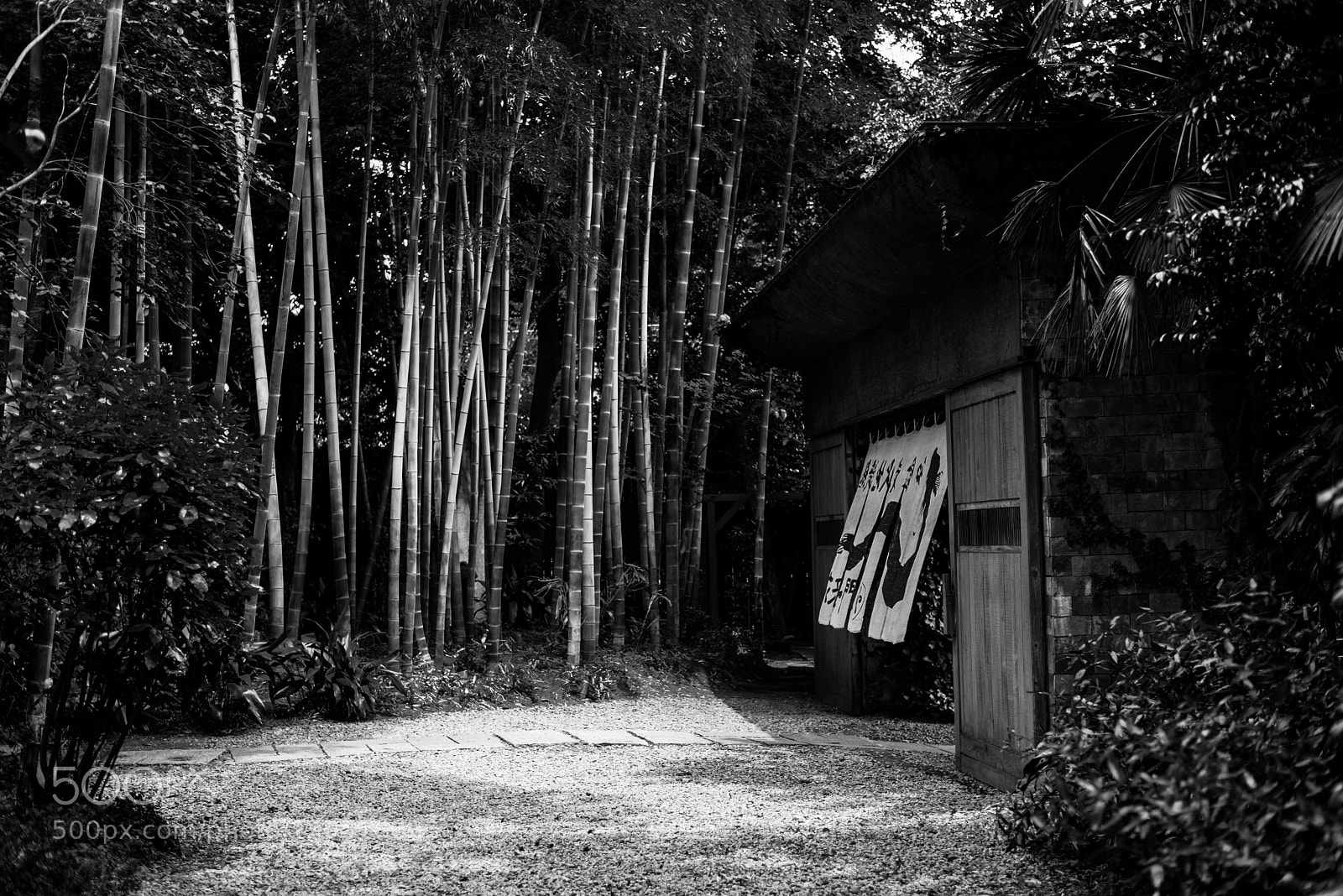 Nikon D810 sample photo. Restaurant in the grove photography