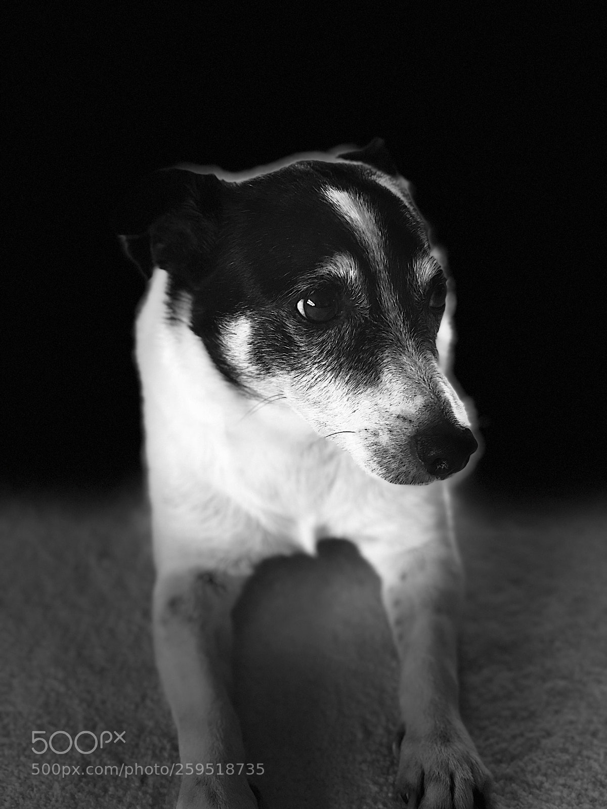 Apple iPhone X sample photo. Untitled photography