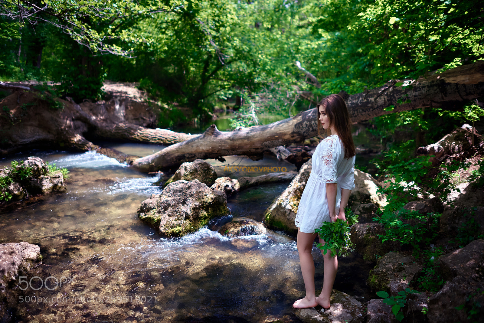 Nikon D610 sample photo. Bor photography