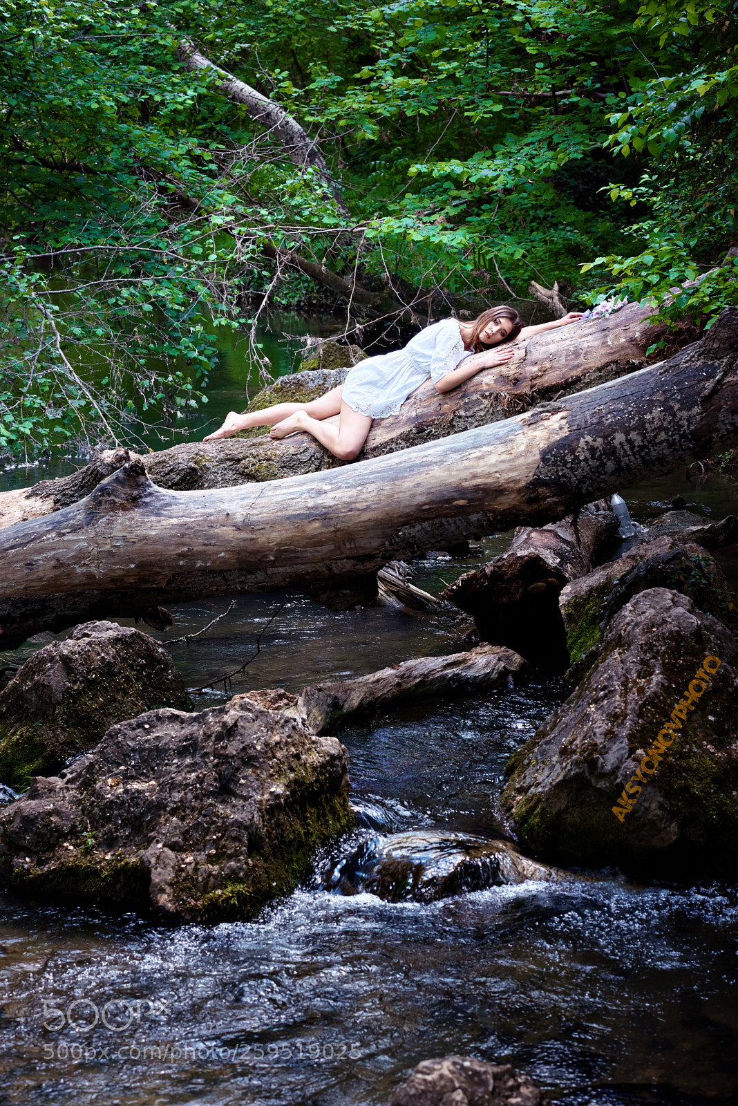 Nikon D610 sample photo. Bor photography