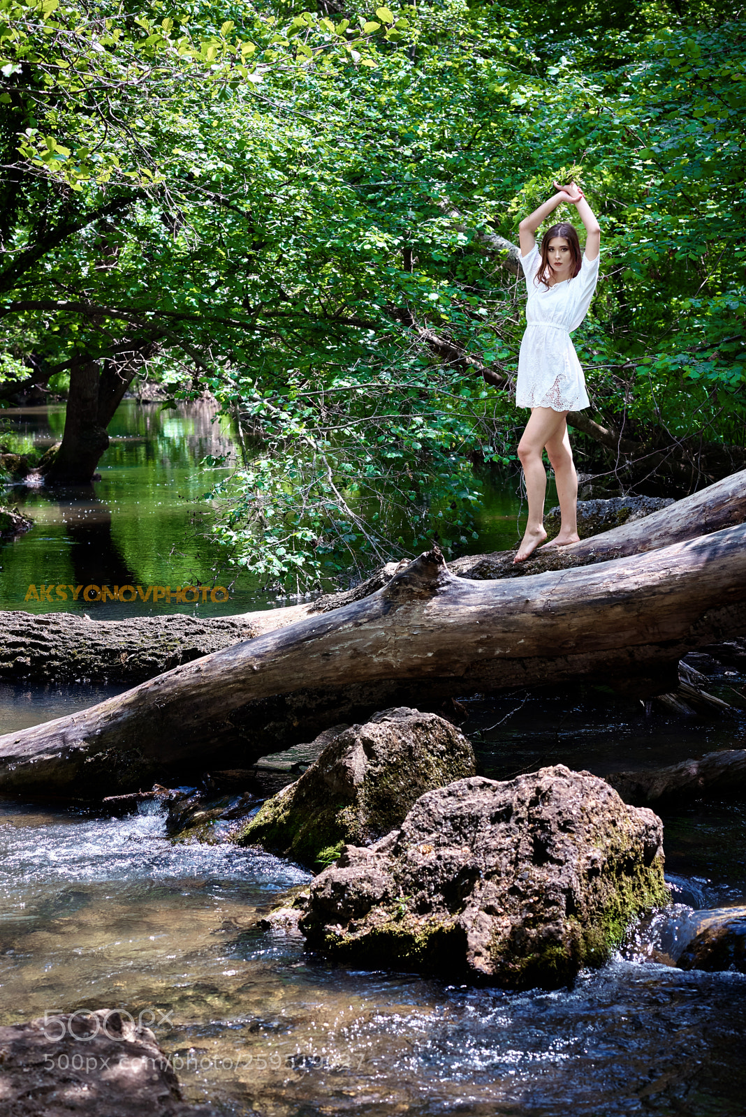 Nikon D610 sample photo. Bor photography