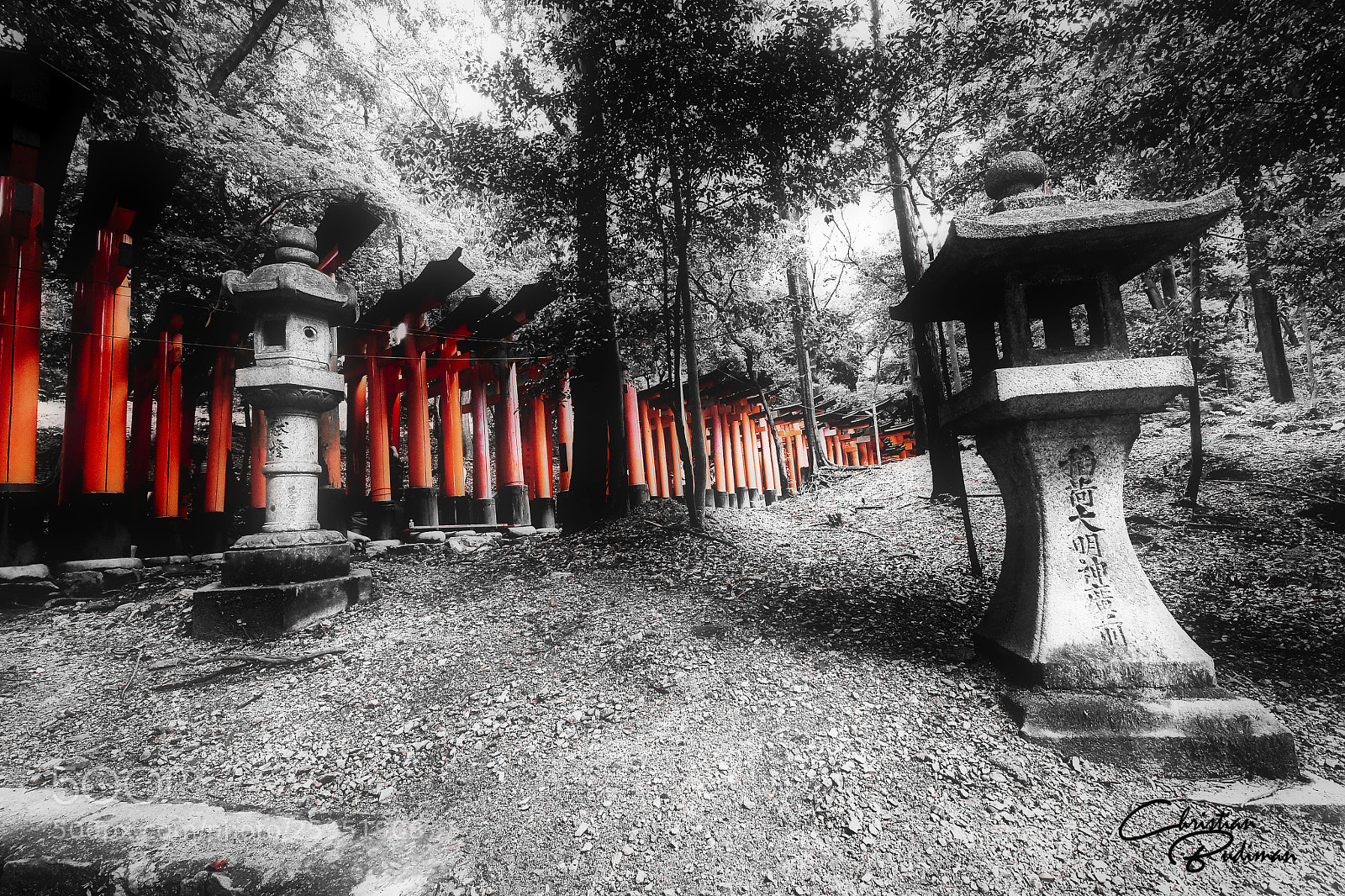 Nikon D750 sample photo. 1000 shrine gates photography