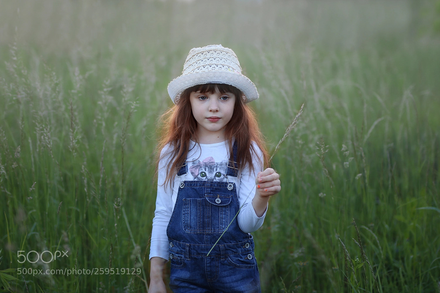 Canon EOS 750D (EOS Rebel T6i / EOS Kiss X8i) sample photo. Blade of grass photography