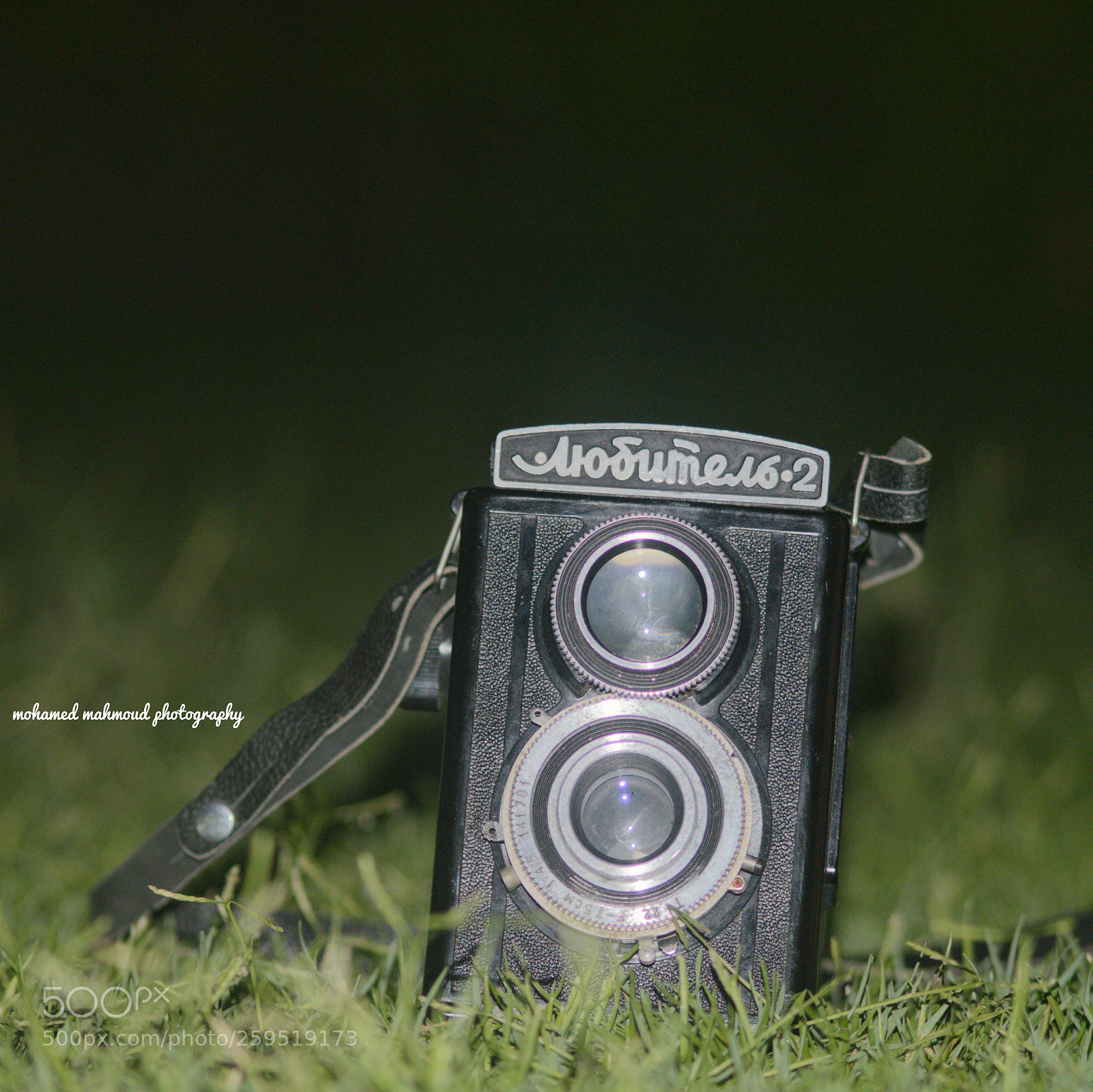 Nikon D3200 sample photo. Untitled photography