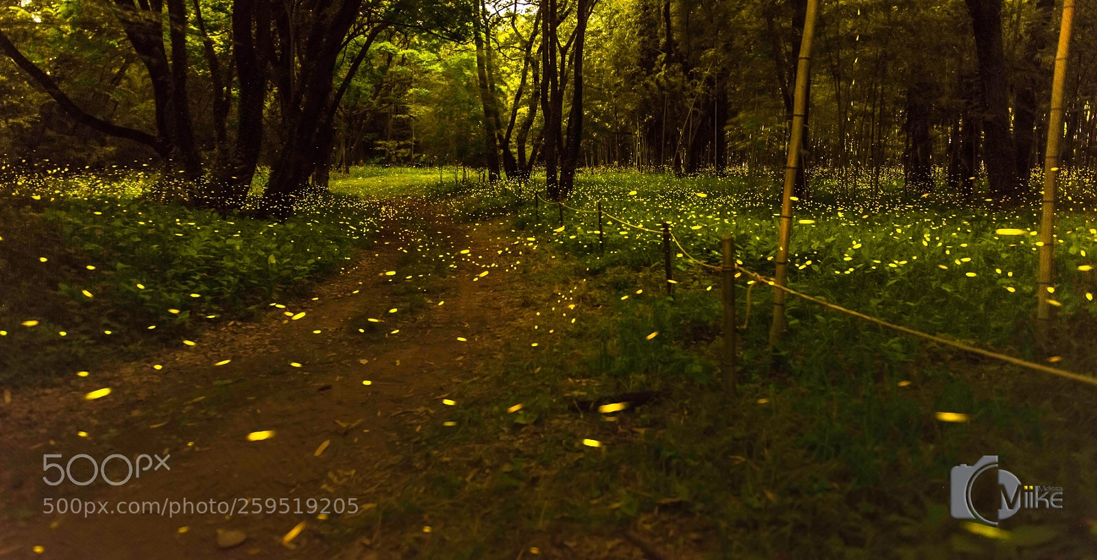 Nikon D800 sample photo. Untitled photography