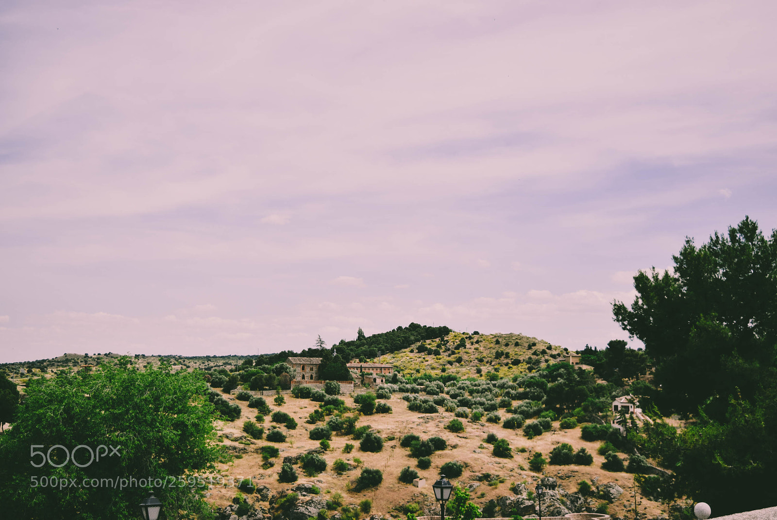 Nikon D5300 sample photo. Toledo photography