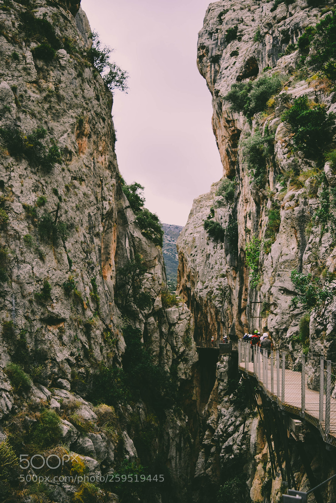 Nikon D5300 sample photo. Caminito del rey de photography