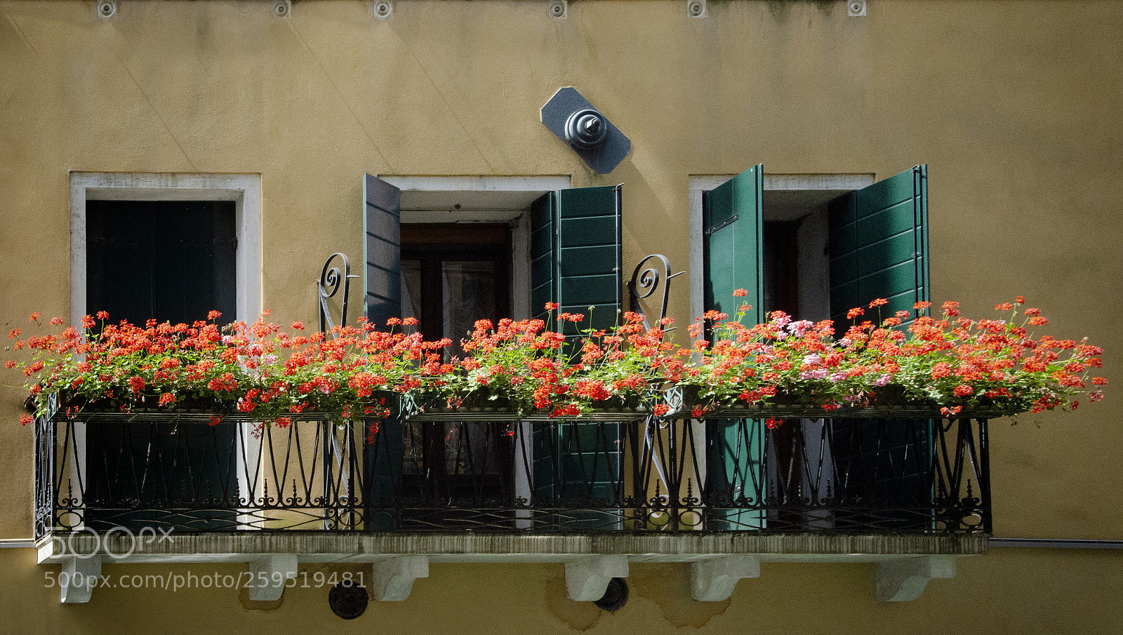 Nikon D7000 sample photo. First sequential line photography