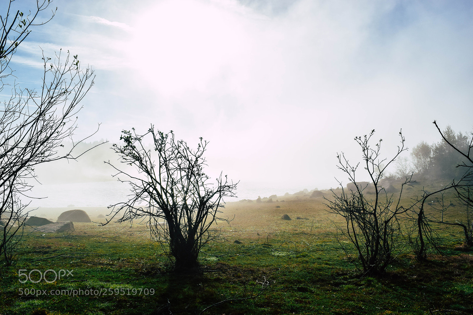Nikon D5300 sample photo. Alvão natural park photography