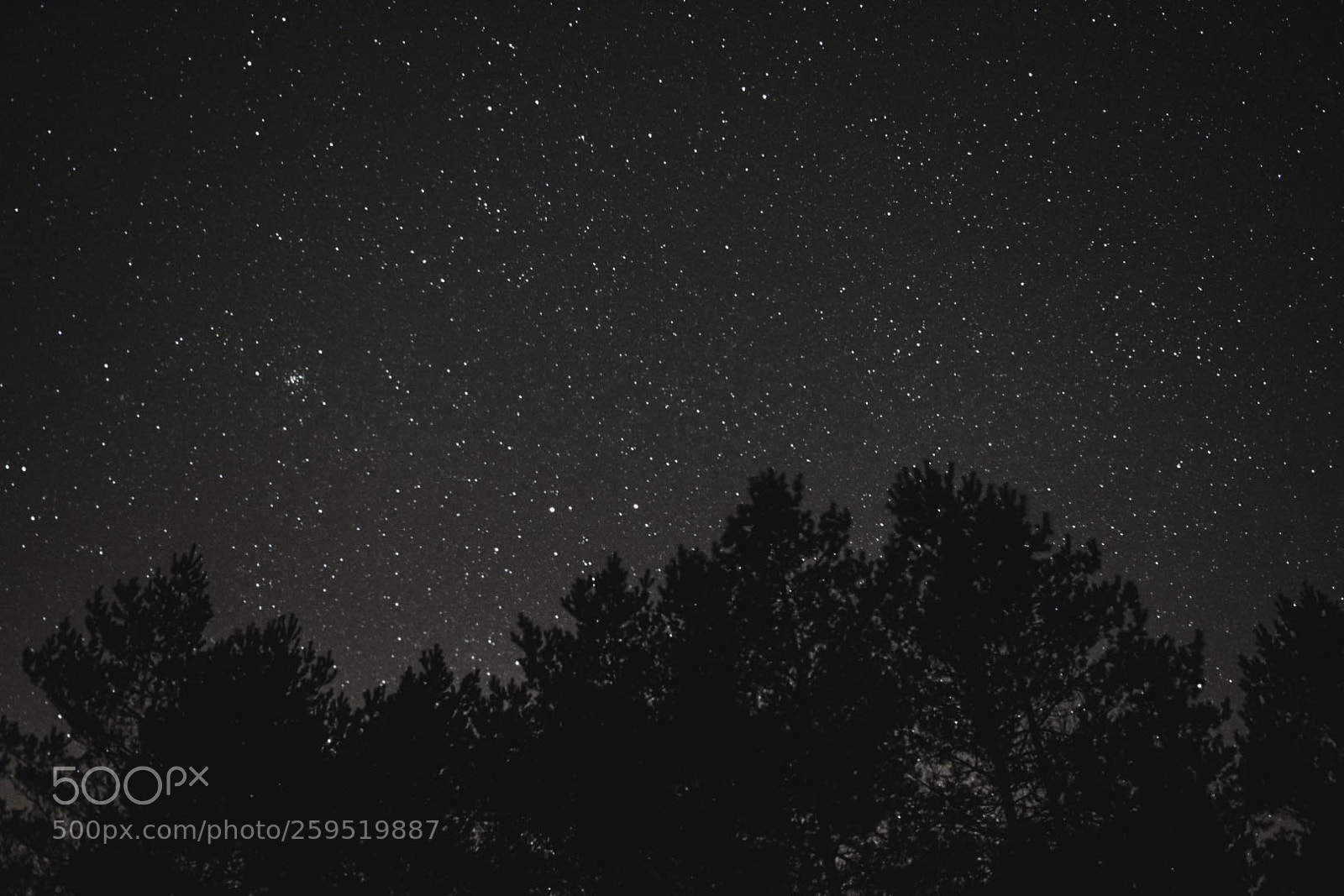 Nikon D5300 sample photo. Alvão natural park photography