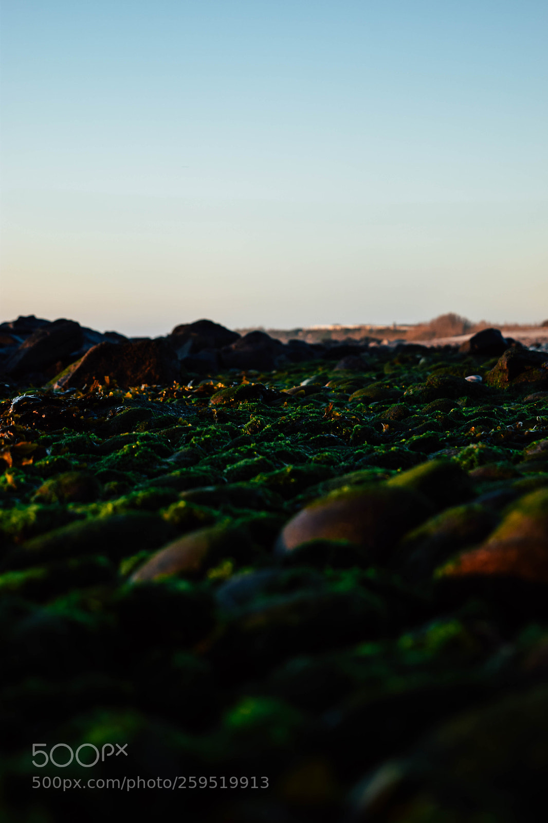 Nikon D5300 sample photo. Beach photography