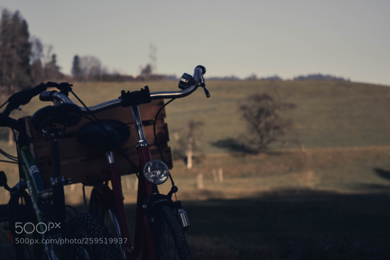 Nikon D5300 sample photo. Wetzikon photography