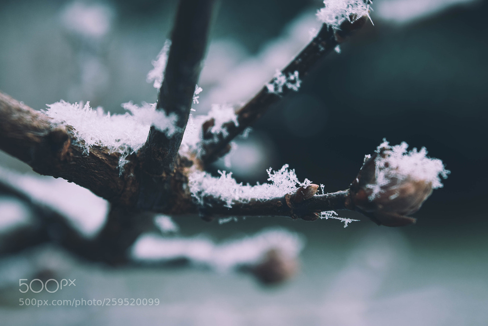 Nikon D5300 sample photo. Wetzikon photography