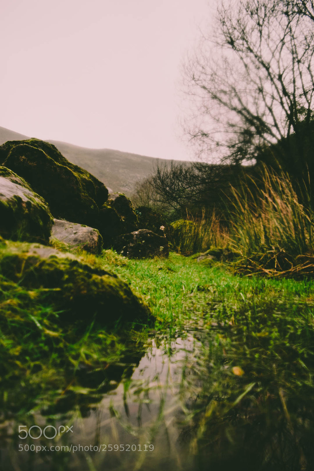 Nikon D5300 sample photo. Geres photography