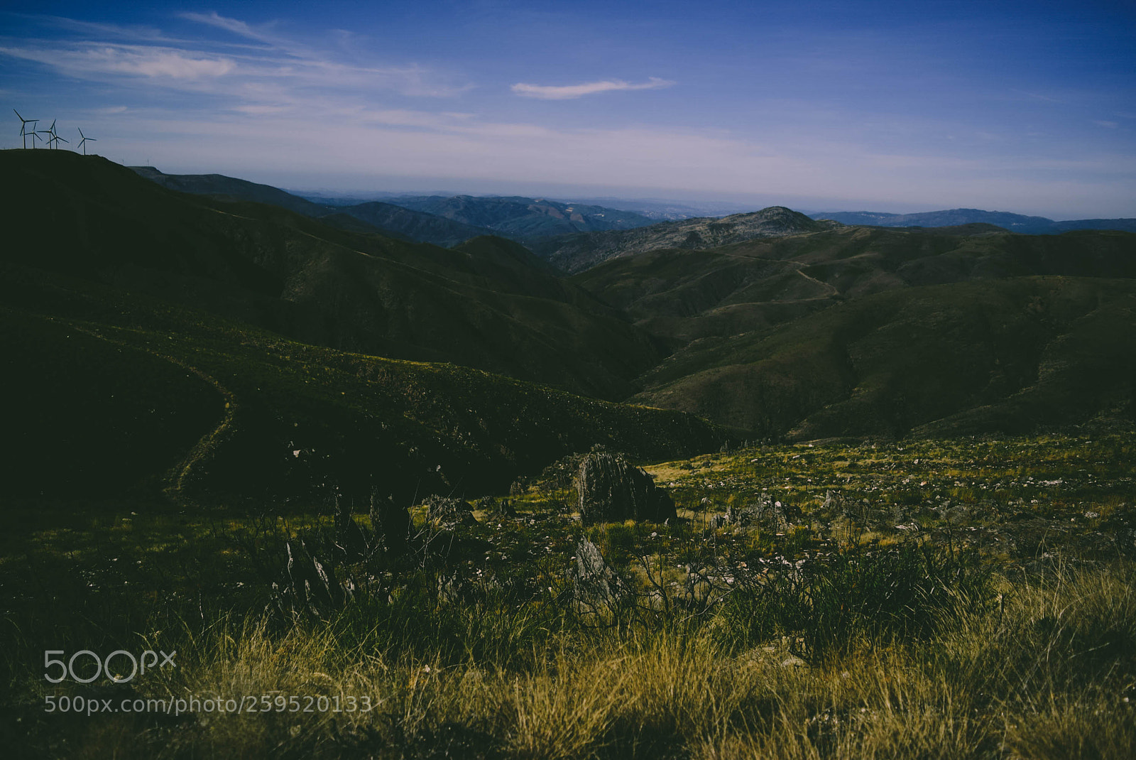 Nikon D5300 sample photo. Arouca photography
