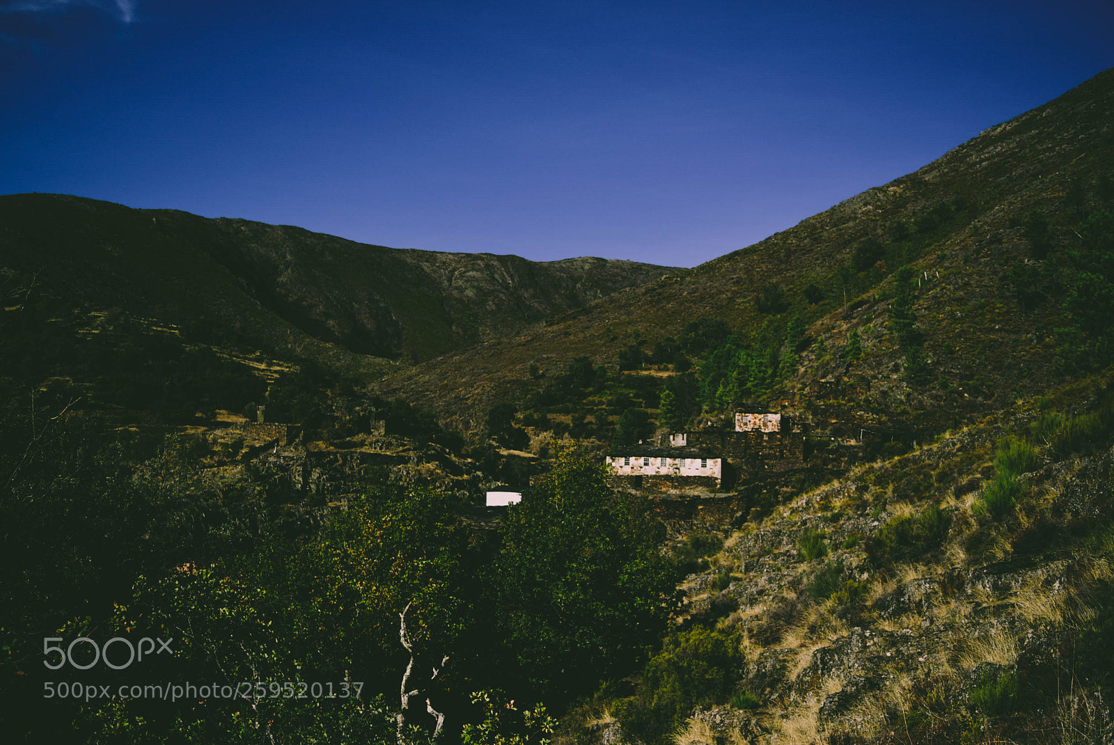 Nikon D5300 sample photo. Drave village photography