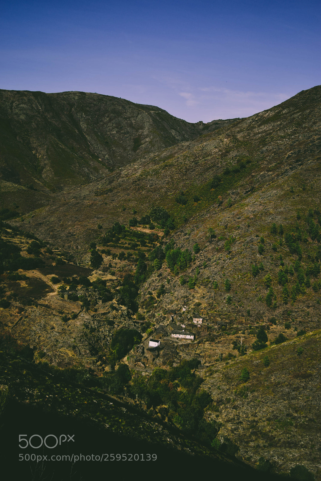 Nikon D5300 sample photo. Drave village photography