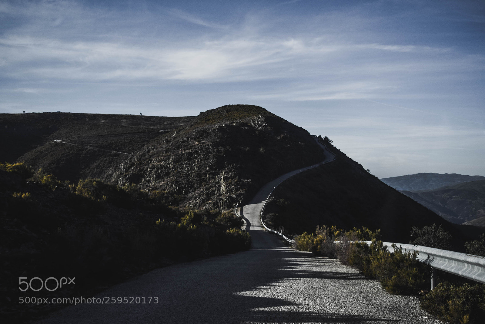 Nikon D5300 sample photo. Arouca photography