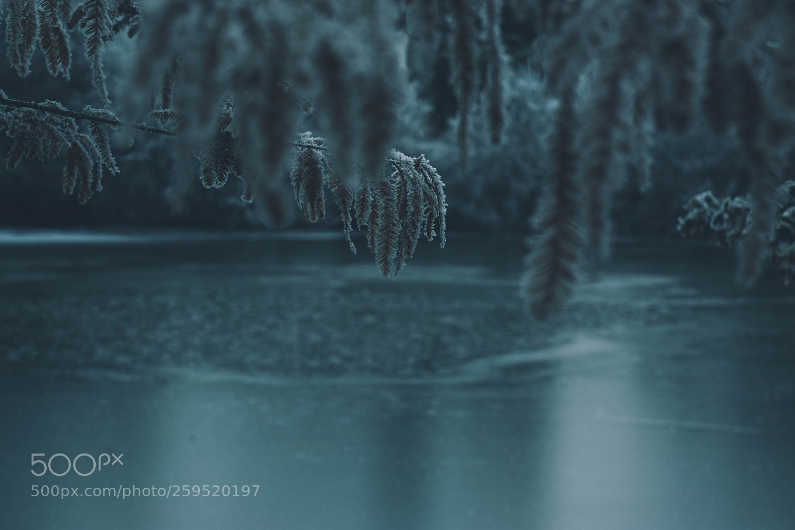 Nikon D5300 sample photo. Frozen lake photography