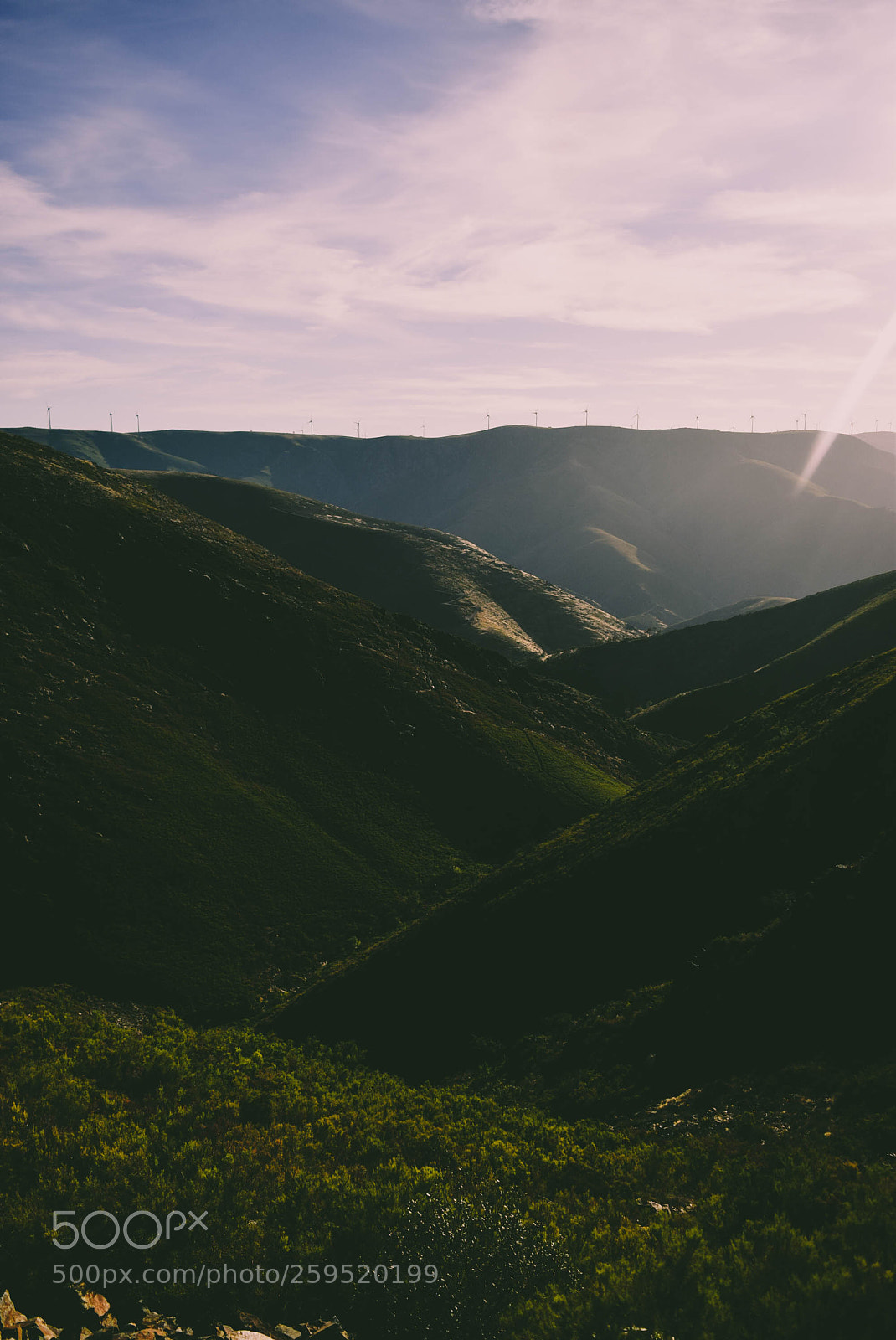 Nikon D5300 sample photo. Arouca photography