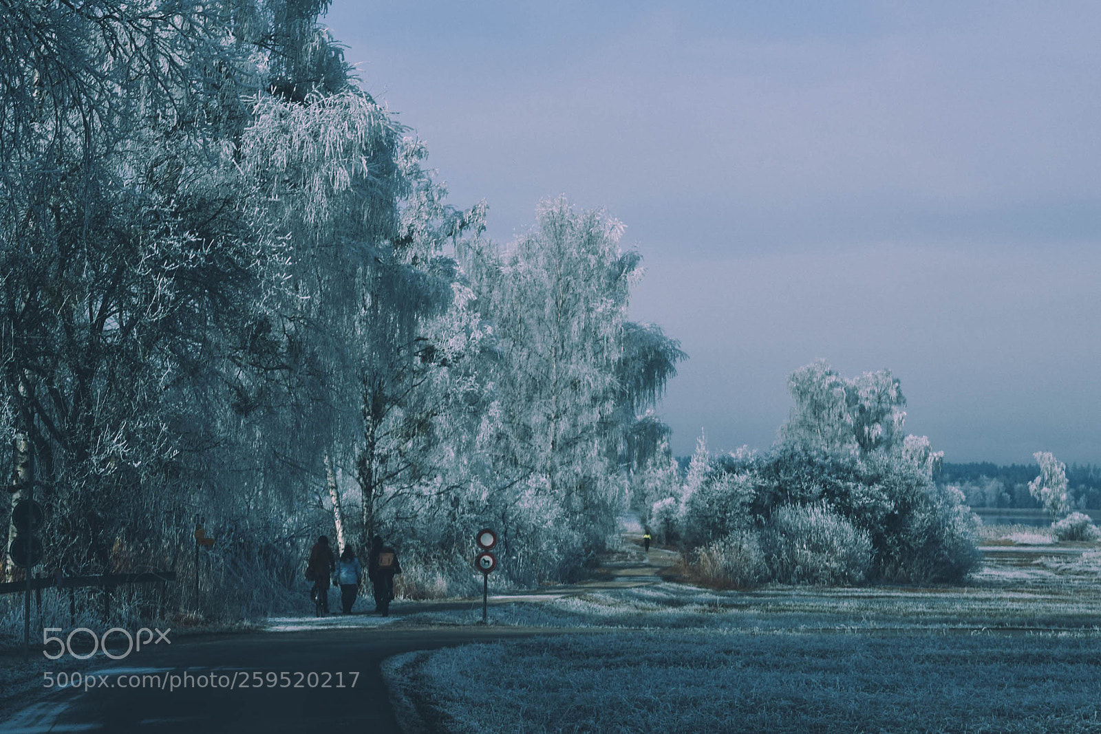 Nikon D5300 sample photo. Frozen lake photography