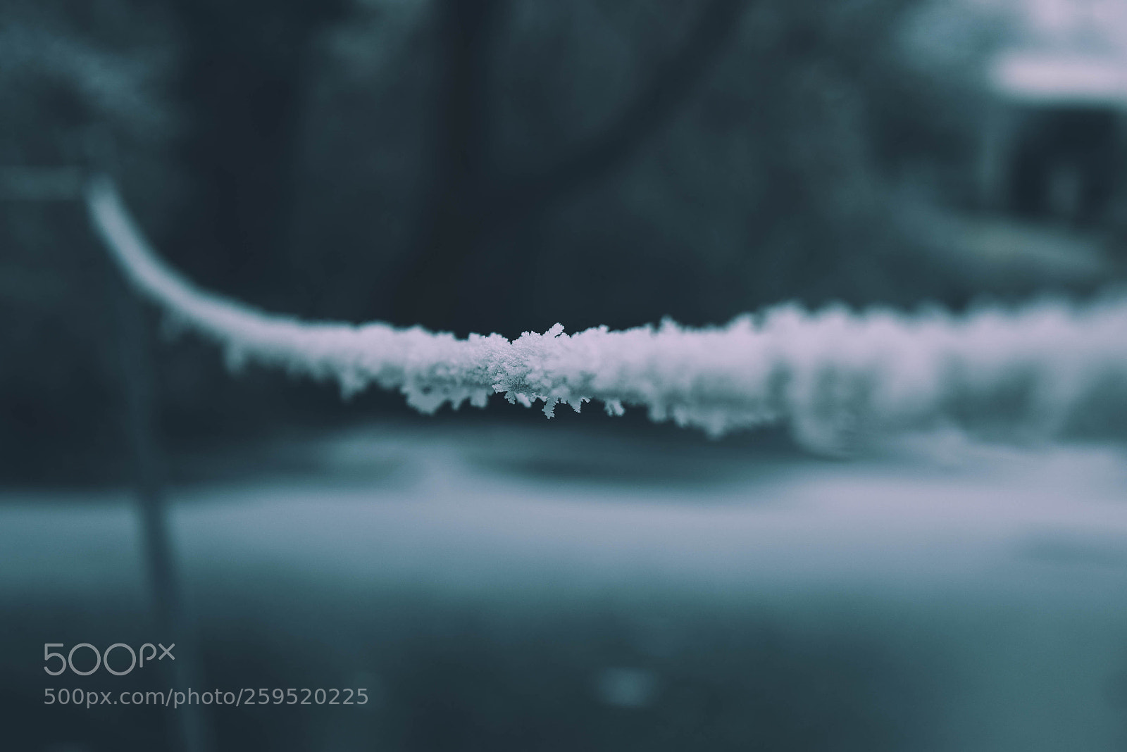 Nikon D5300 sample photo. Frozen lake photography