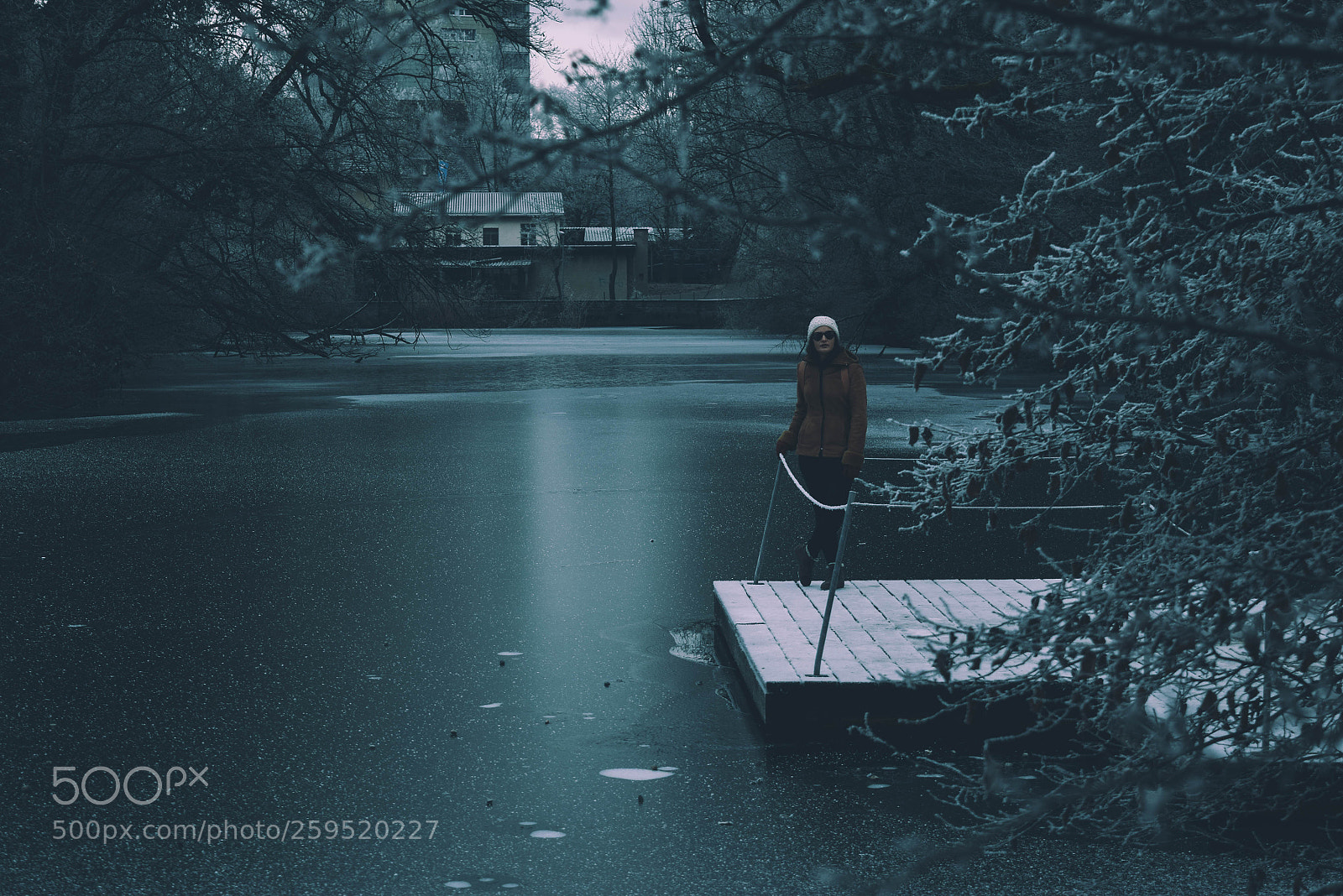 Nikon D5300 sample photo. Frozen lake photography