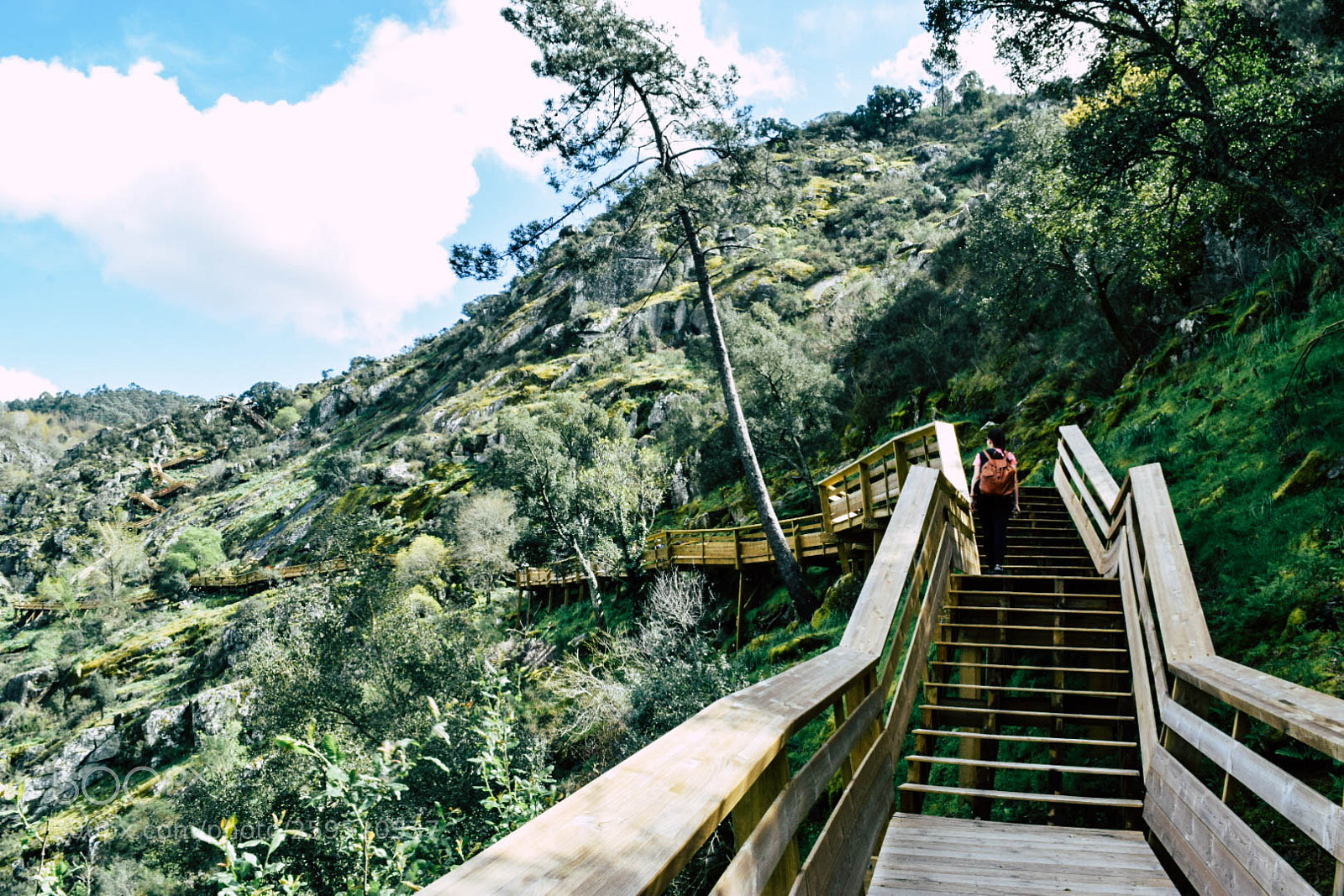 Nikon D5300 sample photo. Passadiços do paiva photography