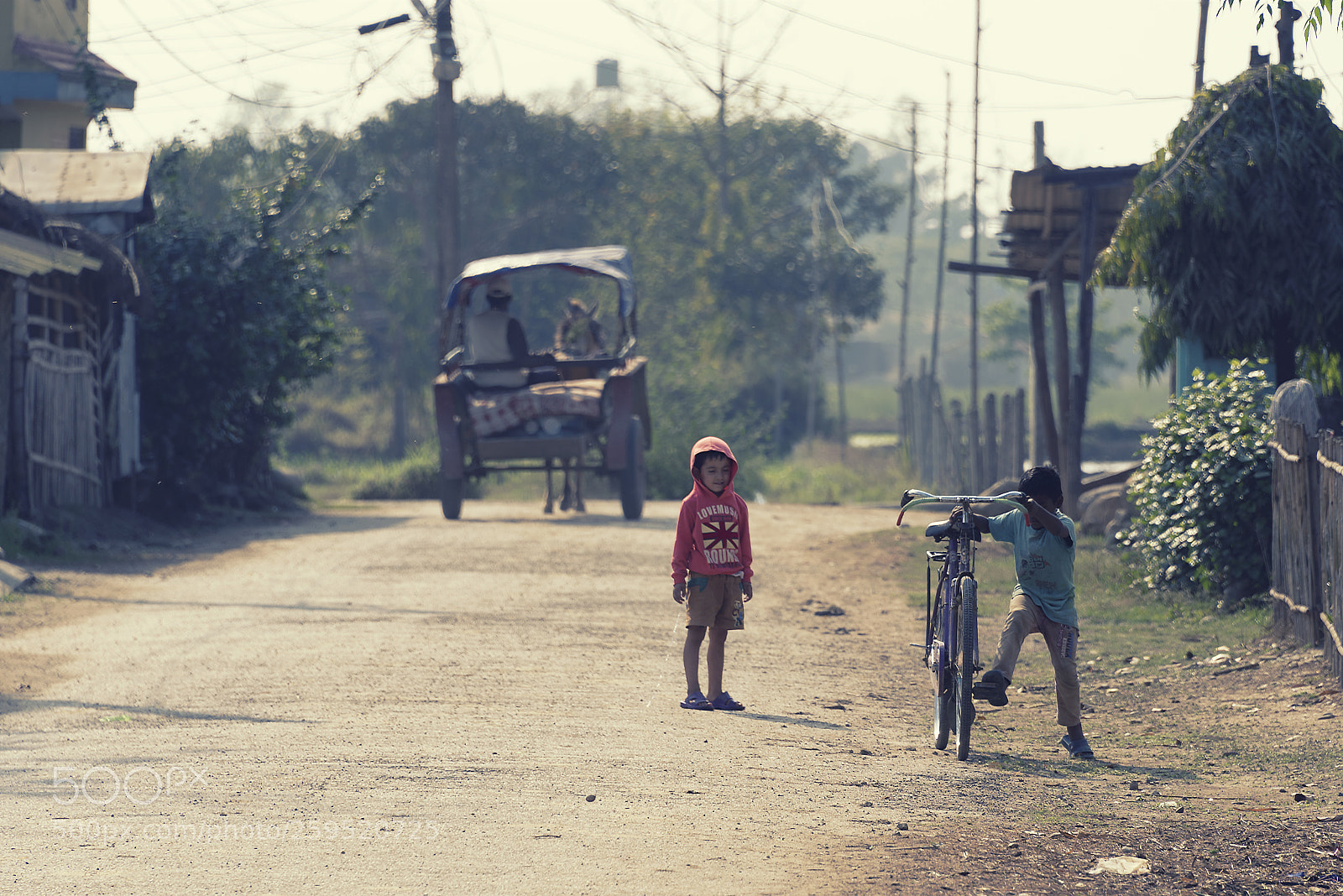 Nikon D750 sample photo. Childhood photography