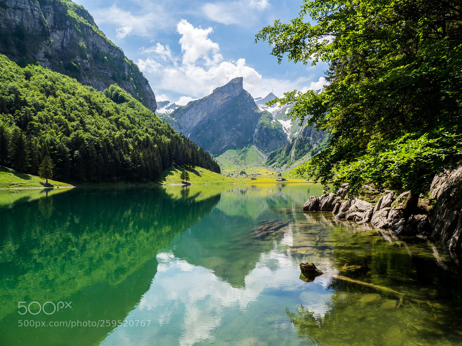 Olympus OM-D E-M1 Mark II sample photo. Beautiful reflection photography