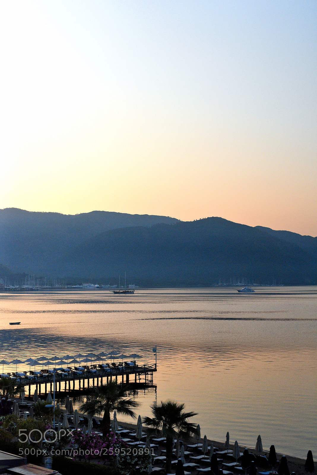 Nikon D810 sample photo. Morning light photography
