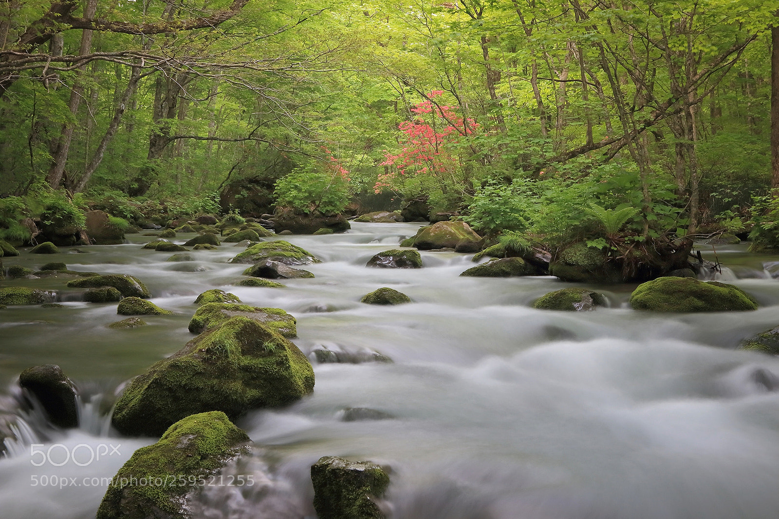 Canon EOS 70D sample photo. Spring stream ii photography