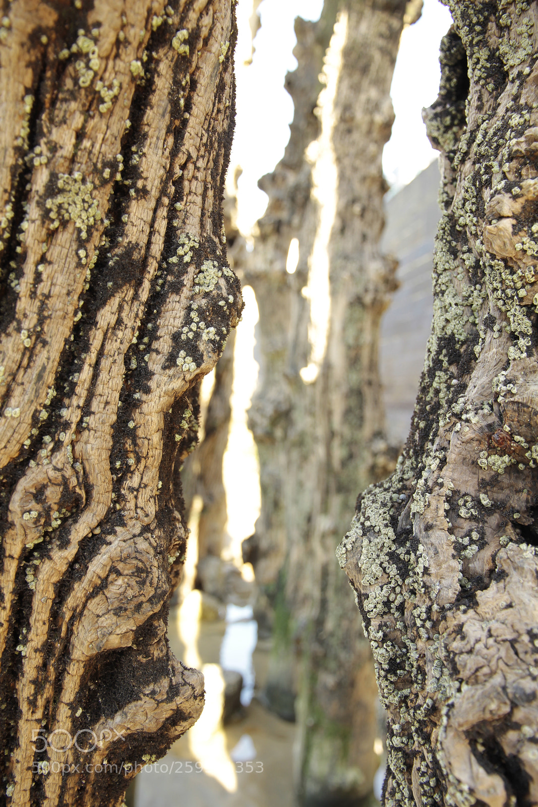 Canon EOS 7D sample photo. Reliefs photography
