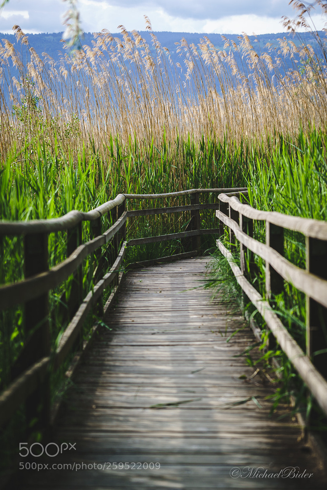 Sony a7 III sample photo. Boardwalk photography